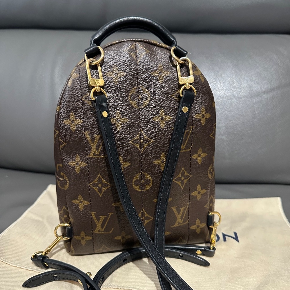 Louis Vuitton Palm Springs  mini - Picture 6 of 16